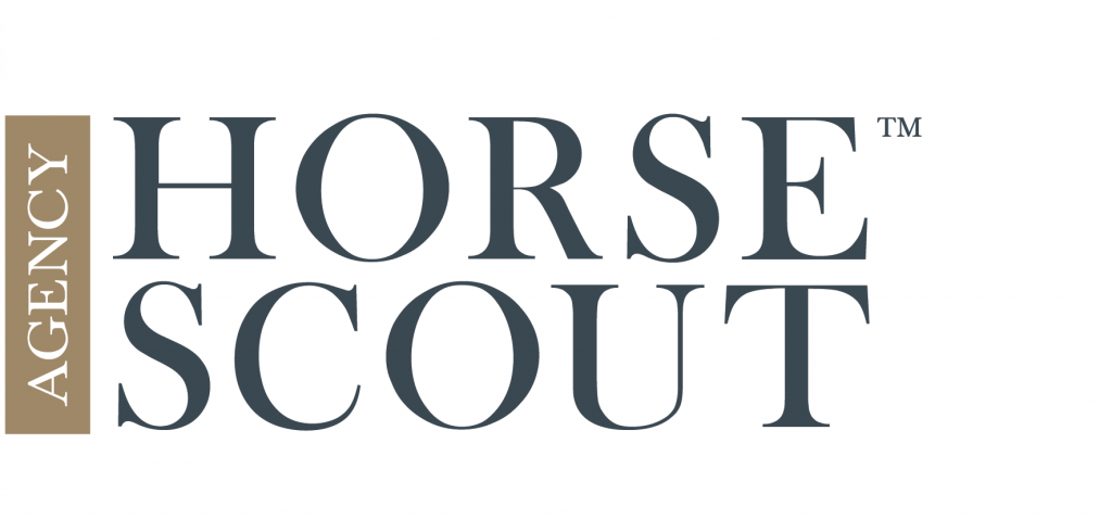 Horse Scout Agency